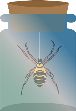 Glas mit gelber Spinne